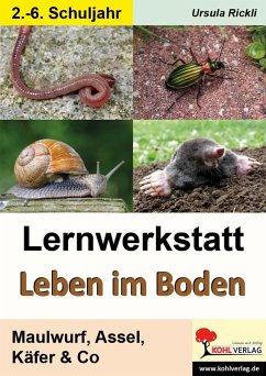 Lernwerkstatt Leben im Boden (eBook, PDF) - Rickli, Ursula