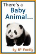 There's a Baby Animal... (Animal... - Bild 1