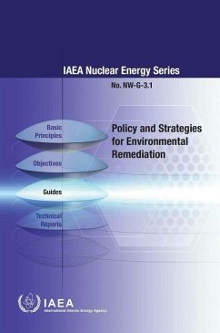 Policy and Strategies for Environmental Remediation