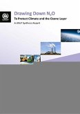 Drawing Down N2o to Protect Climate and the Ozone Layer: A Unep Synthesis Report