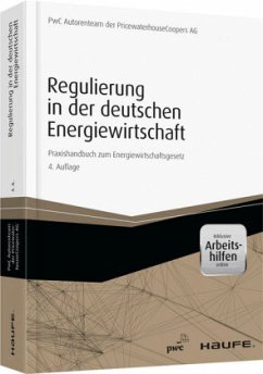 Cover Regulierung in der deutschen Energiewirtschaft