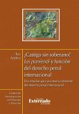 ¿Castigo sin soberano? Ius puniendi y función del derecho penal internacional (eBook, ePUB)