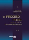 El proceso penal. Tomo I: fundamentos constitucionales y teoría general (eBook, ePUB)