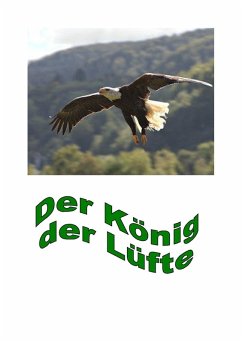 Cover Der König der Lüfte (eBook, ePUB)
