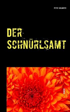 Der Schnürlsamt (eBook, ePUB)