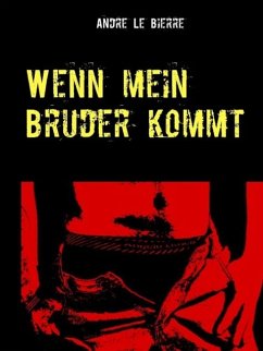 Wenn mein Bruder kommt (eBook, ePUB)