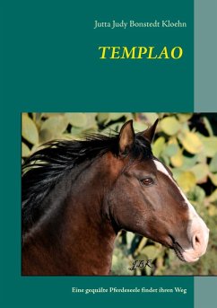 Templao (eBook, ePUB)