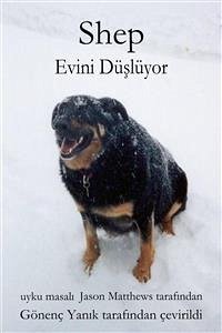 Shep Evini Düşlüyor (eBook, ePUB) - Matthews, Jason