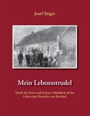 Mein Lebensstrudel (eBook, ePUB)