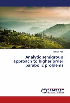 Analytic semigroup approach to higher order parabolic problems - Asai, Tomoro