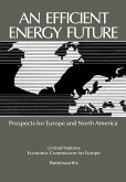 An Efficient Energy Future (eBook, ePUB)