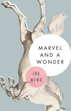 Marvel and a Wonder (eBook, ePUB) - Meno, Joe