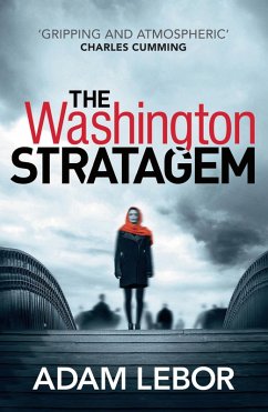Cover The Washington Stratagem (eBook, ePUB)
