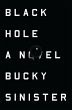 Black Hole (eBook, ePUB) - Bild 1