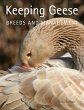 Keeping Geese (eBook, ePUB) - Bild 1