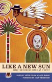 Like A New Sun (eBook, ePUB)