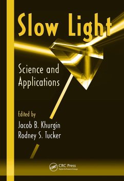 Slow Light (eBook, PDF)