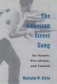 The American Street Gang (eBook, ePUB)