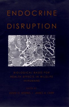 Endocrine Disruption (eBook, ePUB)