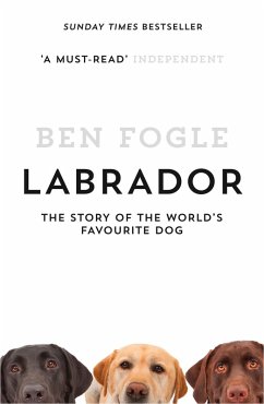 Cover Labrador (eBook, ePUB)