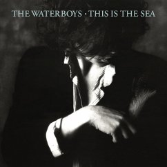 This Is The Sea - Waterboys