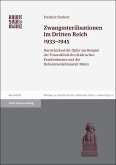 Zwangssterilisationen im Dritten Reich 1933-1945 (eBook, PDF)