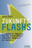 Zukunftsflashs (eBook, ePUB)