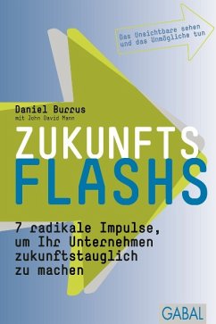 Zukunftsflashs (eBook, ePUB) - Burrus, Daniel