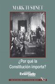 ¿Por qué la Constitución importa? (eBook, ePUB)
