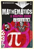 Introducing Mathematics (eBook, ePUB)