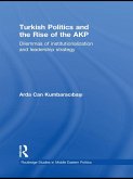 Turkish Politics and the Rise of the AKP (eBook, ePUB)