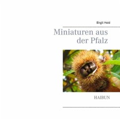 Miniaturen aus der Pfalz (eBook, ePUB)