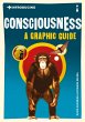 Introducing Consciousness (eBook, ePUB) - Bild 1