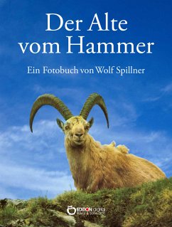 Der Alte vom Hammer (eBook, PDF) - Spillner, Wolf