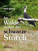 Im Walde wohnt der schwarze Storch (eBook, ePUB)