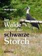 Im Walde wohnt der schwarze Storch... - Bild 1