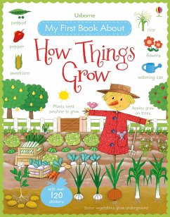 My First Book About How Things Grow - Brooks, Felicity