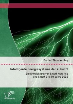 Intelligente Energiesysteme der Zukunft: Die Entwicklung von Smart Metering und Smart Grid im Jahre 2025 - Roy, Daniel Th.