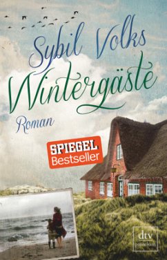 Wintergäste / Familie Boysen Bd.1 - Volks, Sybil