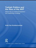 Turkish Politics and the Rise of the AKP (eBook, PDF)