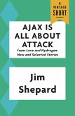 Ajax Is All About Attack (eBook, ePUB)