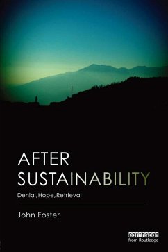 After Sustainability (eBook, ePUB) - Foster, John