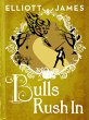 Bulls Rush In (eBook, ePUB) - Bild 1