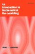 Introduction to Mathematical Fire... - Bild 1