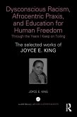 Dysconscious Racism, Afrocentric Praxis, and Education for Human Freedom: Through the Years I Keep on Toiling (eBook, PDF)