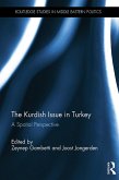 The Kurdish Issue in Turkey (eBook, ePUB)