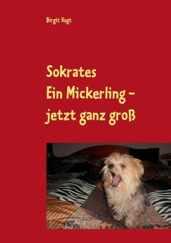 Sokrates Ein Mickerling - jetzt ganz groß (eBook, ePUB) - Vogt, Birgit