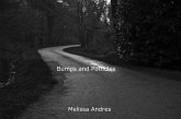 Bumps and Potholes (eBook, ePUB)