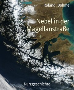 Nebel in der Magellanstraße (eBook, ePUB) - Böhme, Roland