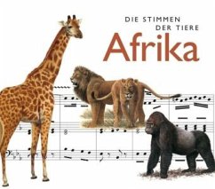Afrika (MP3-Download) - Riechelmann, Cord